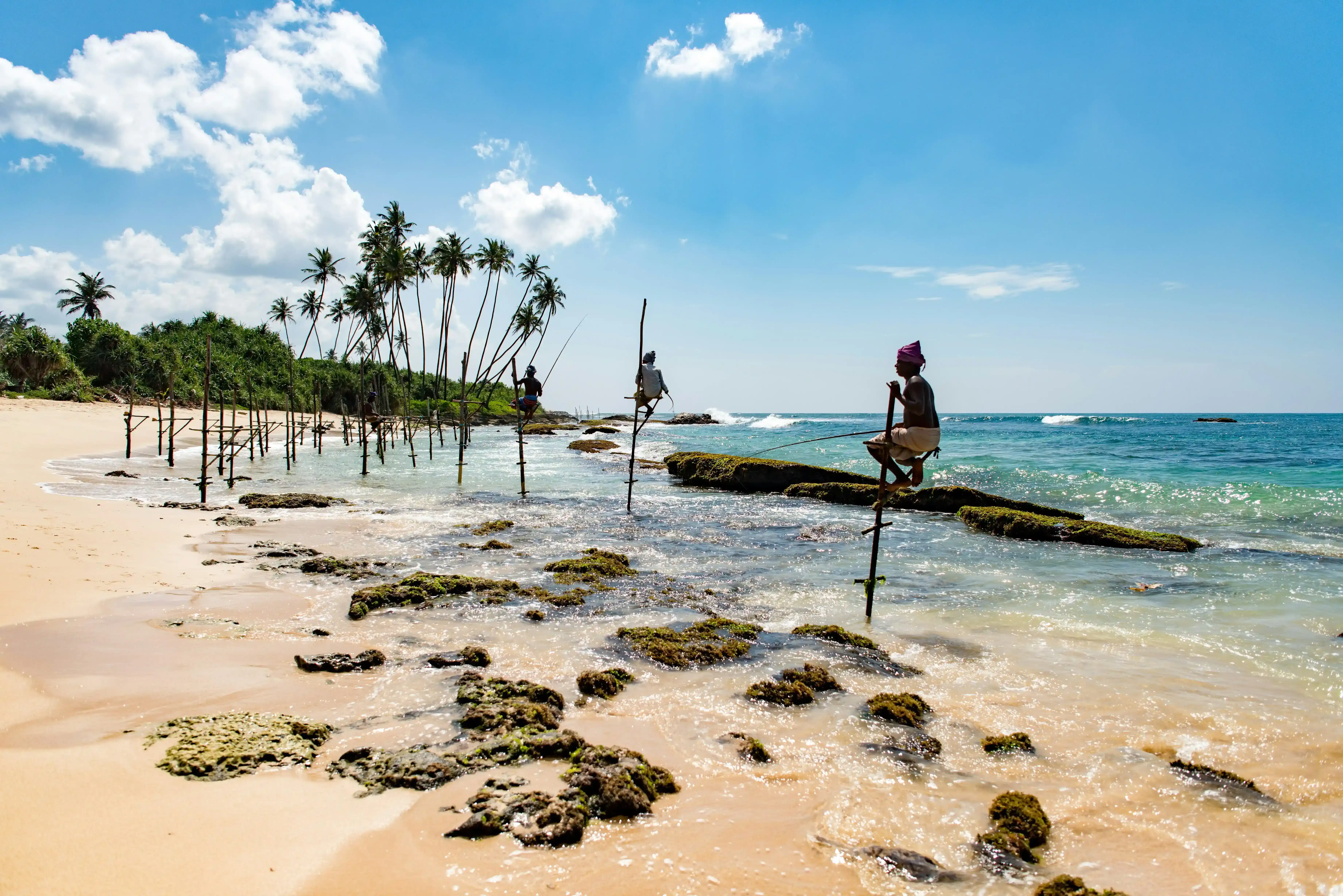 Turtle Beach, Sri Lanka